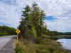 Algonquin Nationalpark