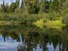 Algonquin Nationalpark