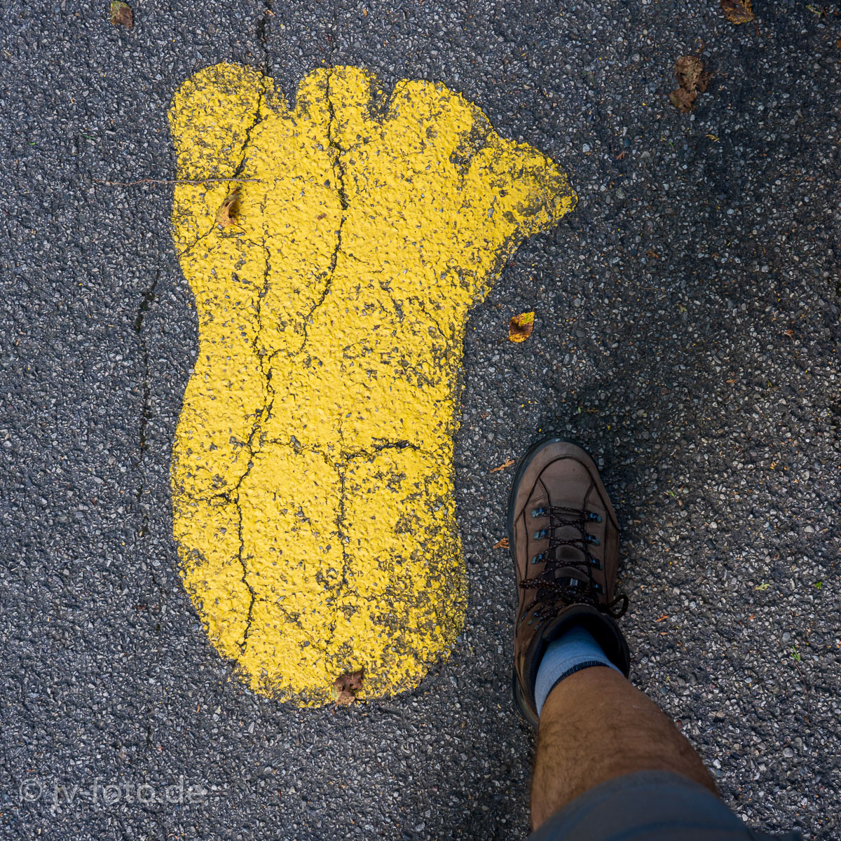 Bigfoot was here