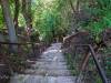 Elora Gorge