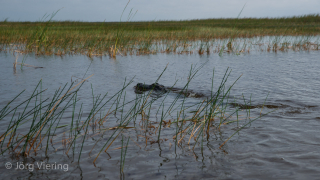 Fort Lauderdale / Everglades