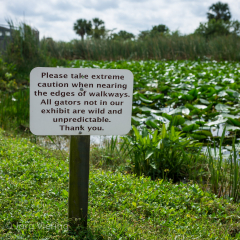 Fort Lauderdale / Everglades