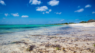 Cozumel