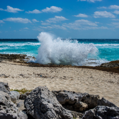 Cozumel