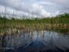 Fort Lauderdale / Everglades