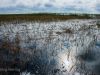 Fort Lauderdale / Everglades