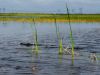 Fort Lauderdale / Everglades