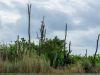 Fort Lauderdale / Everglades