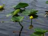 Fort Lauderdale / Everglades