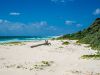 Cozumel