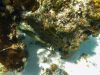 Cozumel