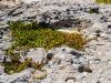 Cozumel