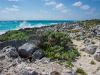 Cozumel