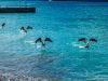 Cozumel