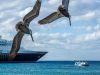 Cozumel