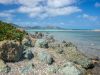 St. Martin