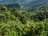 Puerto Rico