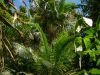 Puerto Rico
