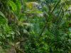 Puerto Rico