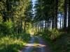 Wanderung Eggewald