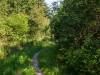 Wanderung Eggewald