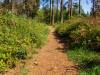 Wanderung Eggewald