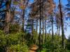 Wanderung Eggewald