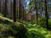 Wanderung Eggewald