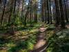 Wanderung Eggewald