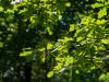 Wanderung Eggewald