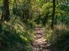 Wanderung Eggewald