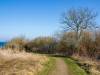 Weg zum Strand