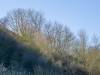 Frühling?