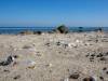 Am Strand