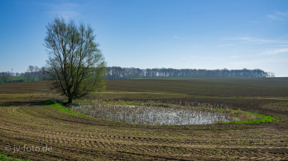 Akker im Frühling