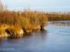 Koldinger See