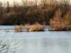 Koldinger See