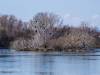 Koldinger See