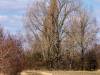 Koldinger See