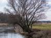 Koldinger See