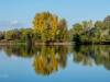 Koldinger Seen
