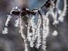 Koldinger Seen im Winter