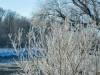 Koldinger Seen im Winter