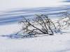 Koldinger Seen im Winter