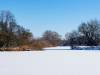 Koldinger Seen im Winter