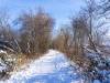 Koldinger Seen im Winter