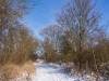 Koldinger Seen im Winter