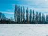 Koldinger Seen im Winter