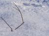 Koldinger Seen im Winter