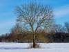 Koldinger Seen im Winter